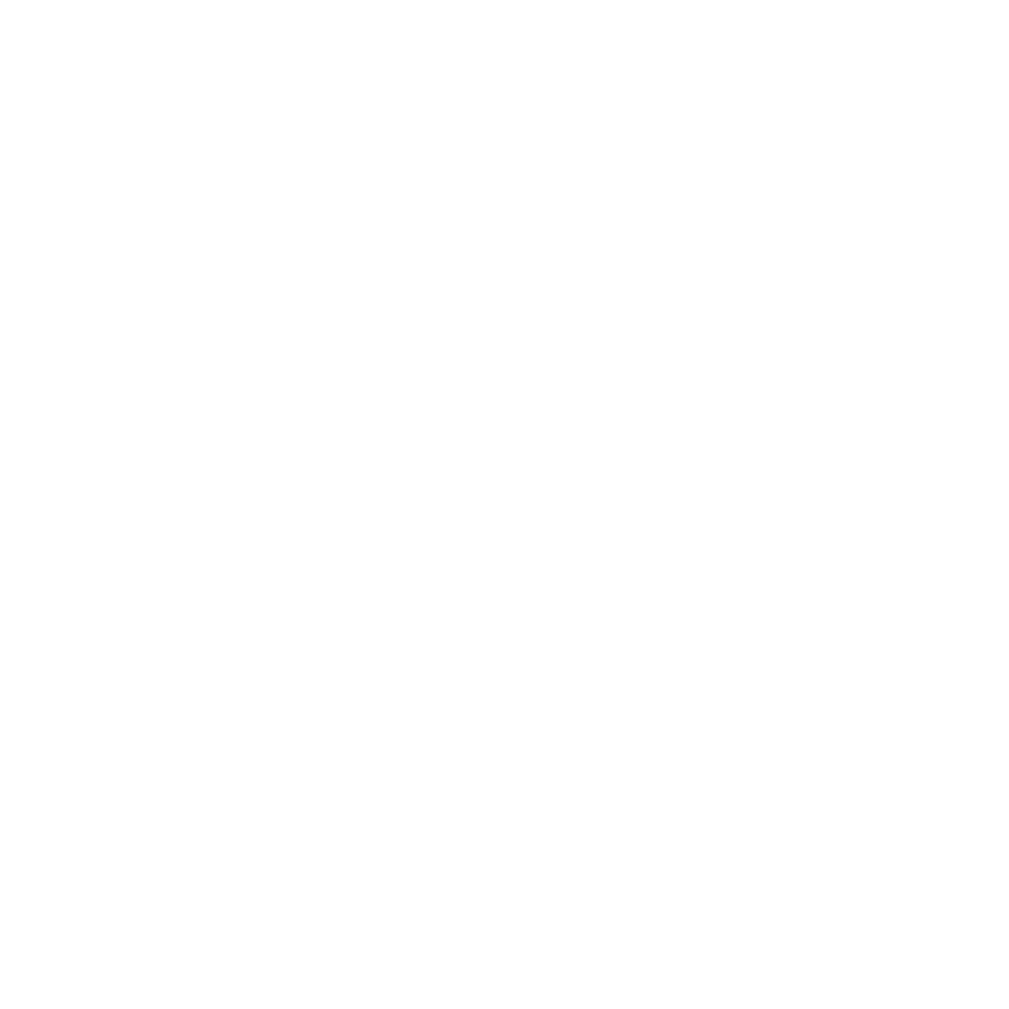 BRUSHOLOGY